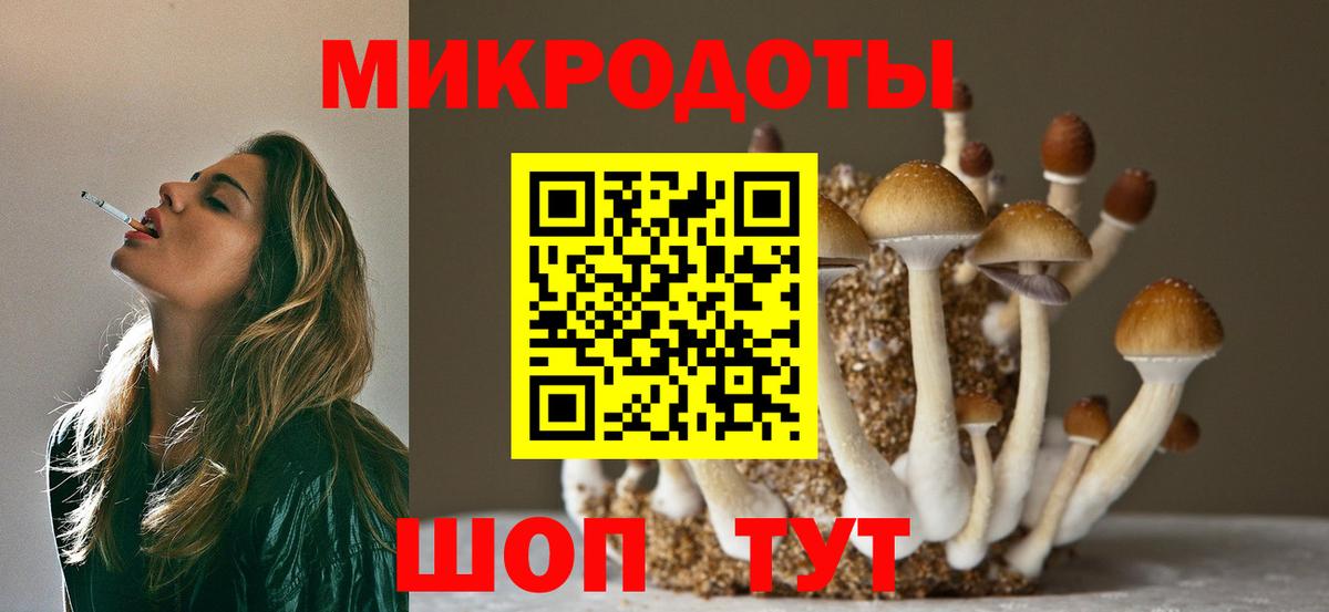 Псилоцибиновые грибы Cubensis Уссурийск