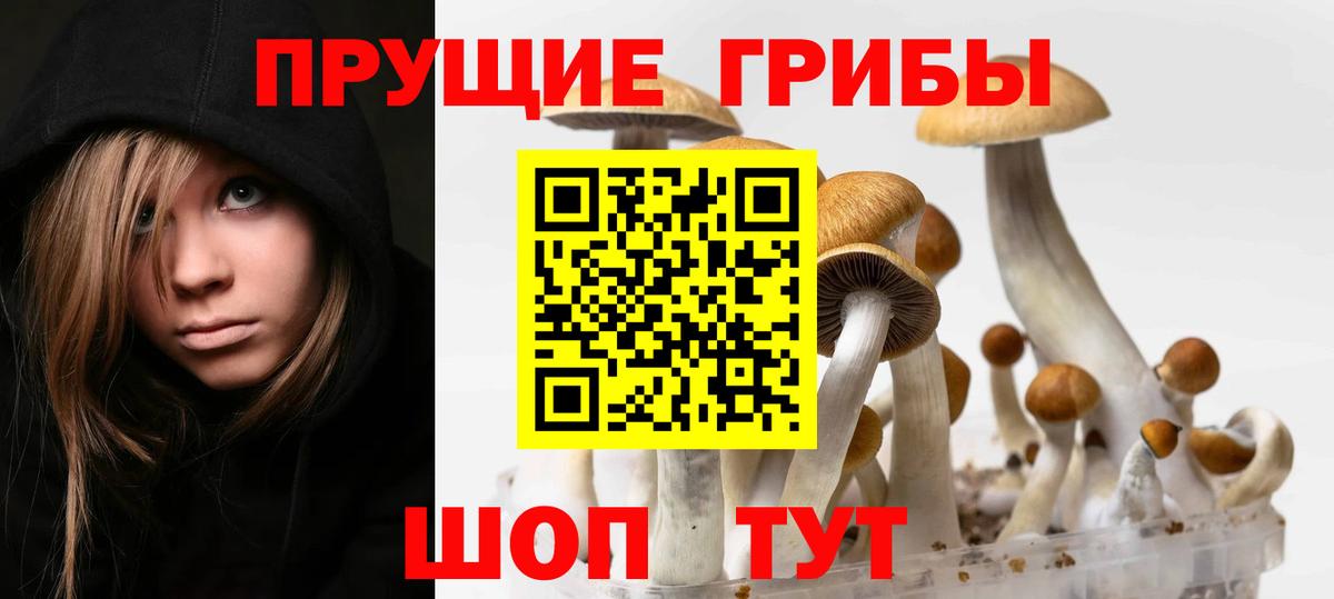 Уссурийск  Галлюциногенные грибы мухоморы  Псилоцибиновые грибы Cubensis  Вход с VPN 